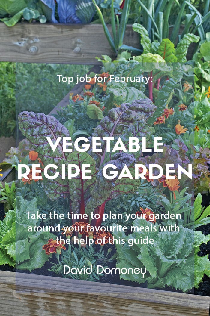 Top job for February - Planning vegetable gardens for recipes