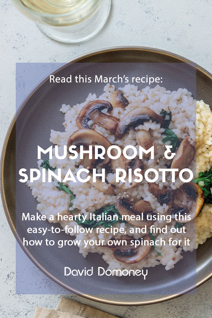 Recipe March Mushroom and spinach risotto