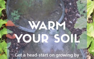 Top job for March - Ways to warm your soil