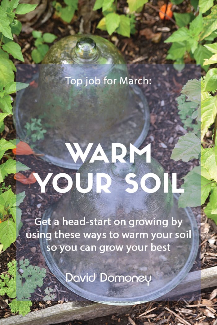 Top job for March - Ways to warm your soil