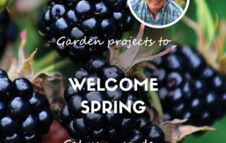 Garden projects to welcome spring feature