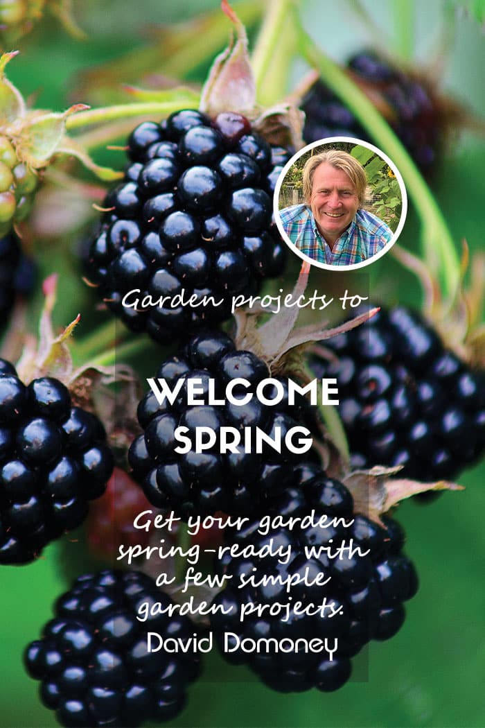 Garden projects to welcome spring feature