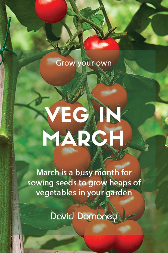 Grow your own veg in March