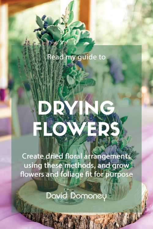 Dried Flower Arrangements - Growing Plants And Flowers To Dry