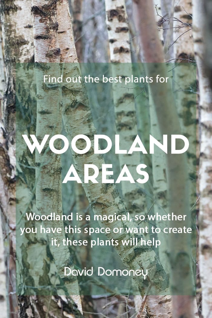 Plants for purpose Plants for woodland