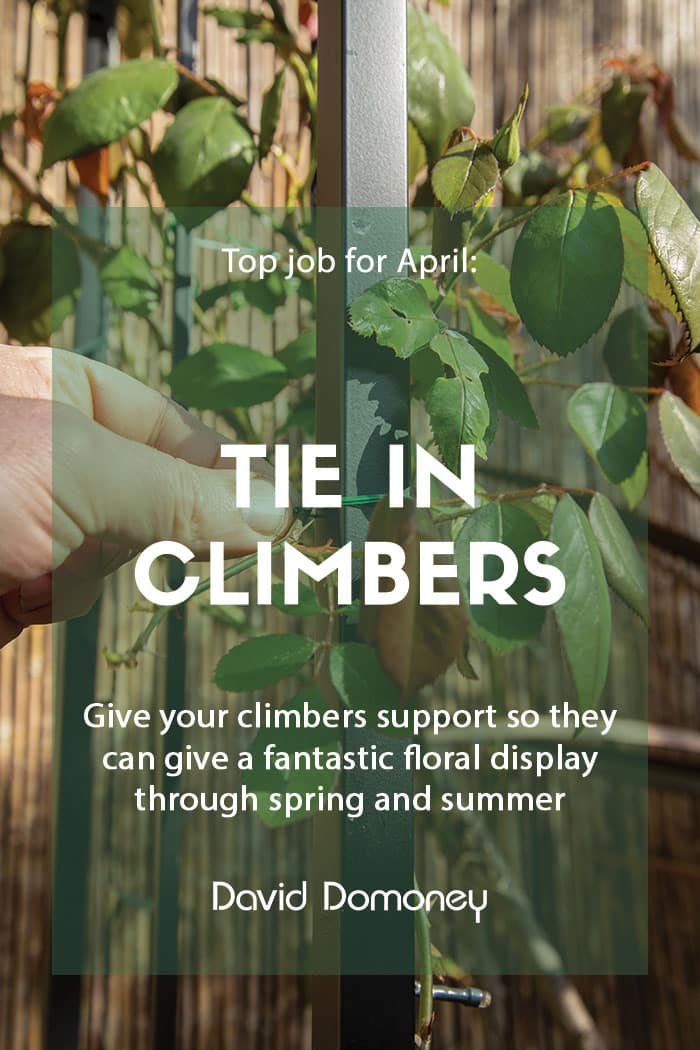 Top job for April Tie in climbers