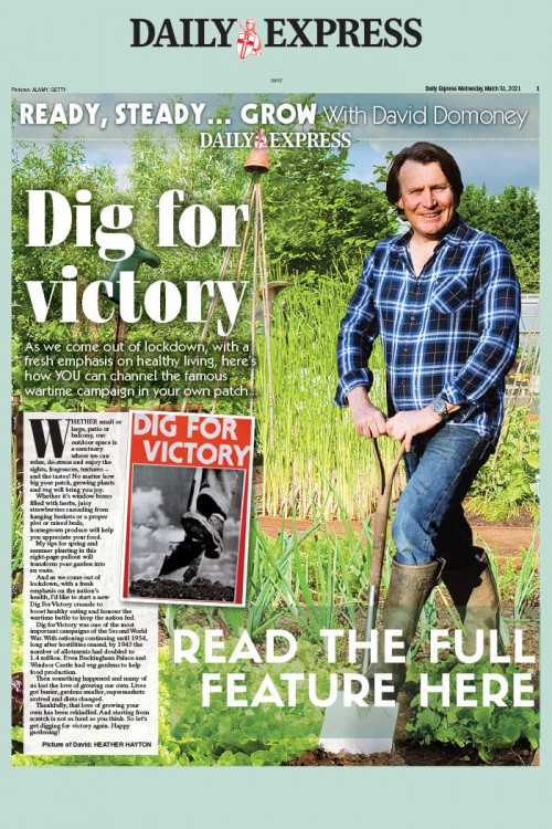 David Domoney Daily Express Gardening Feature David Domoney