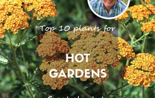 Hot gardens updated feature 2024