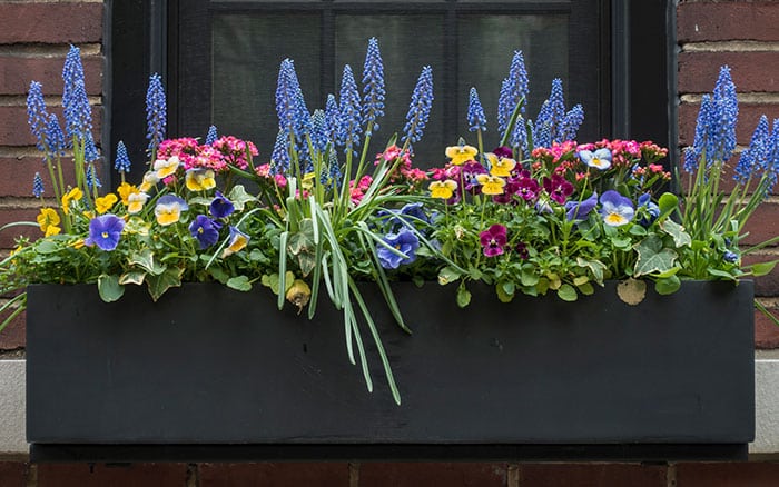 window box