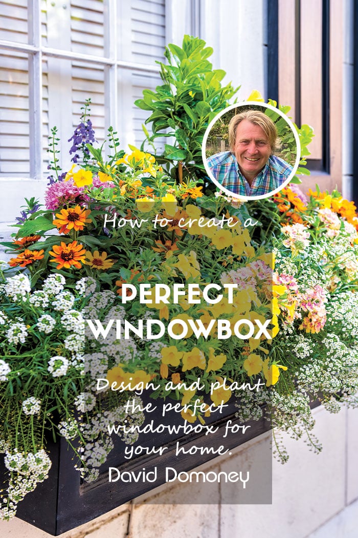 windowbox blog feature