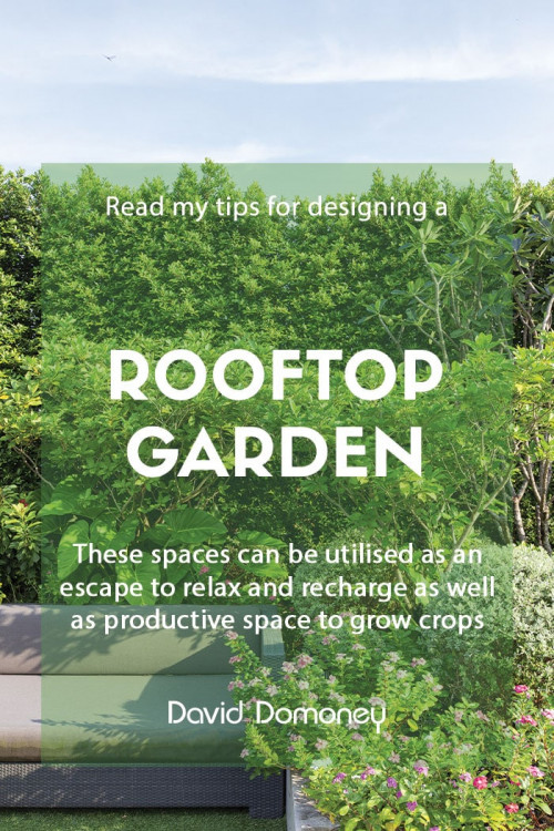 My Tips for Rooftop Garden Design