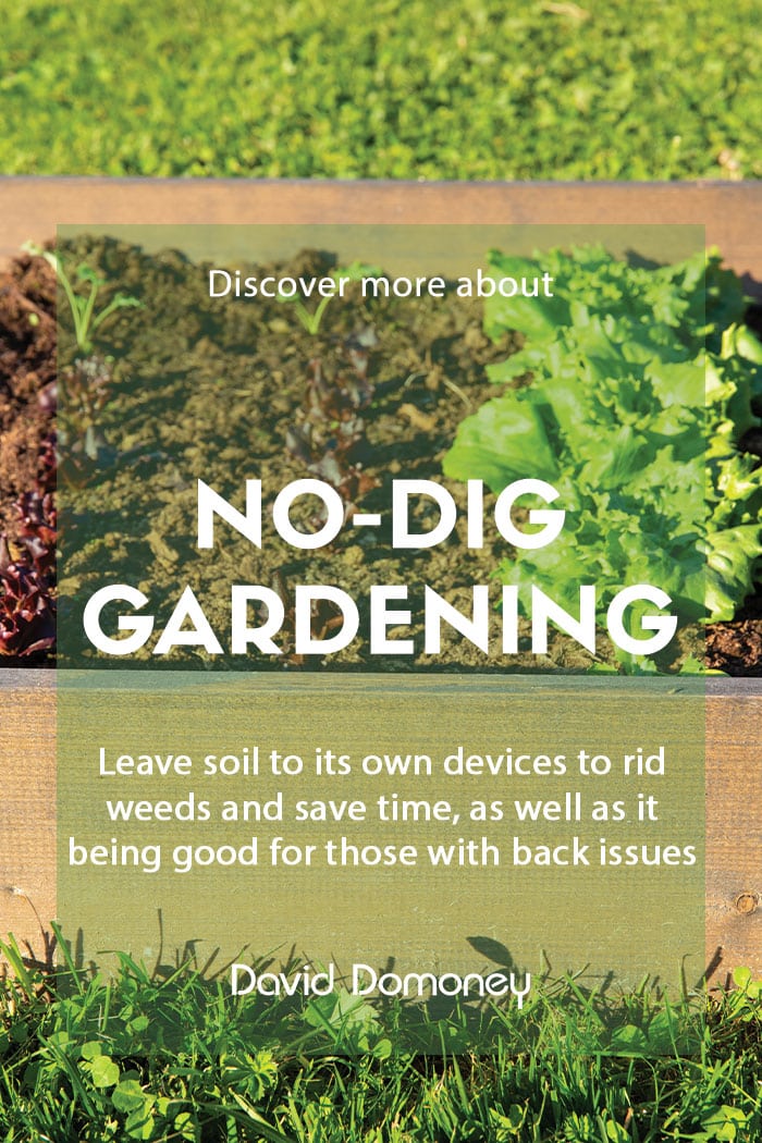 No dig' gardening: how to clear weeds and prepare the soil – Replenish