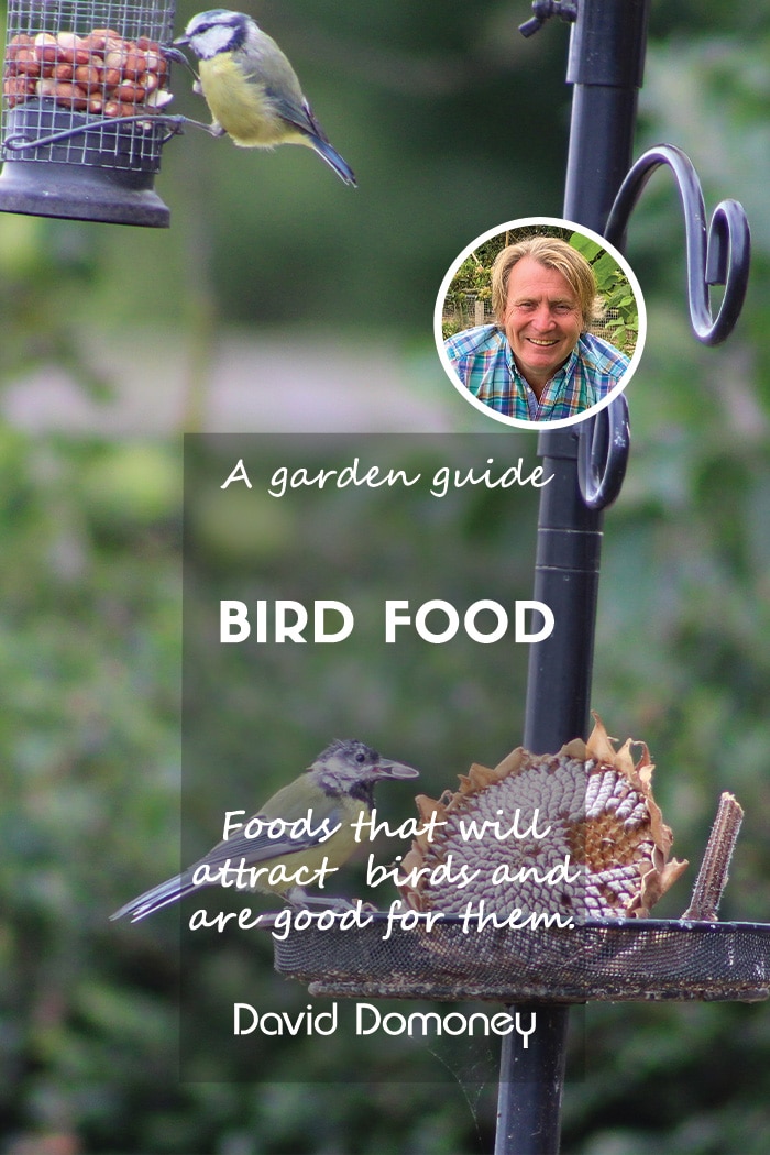 A garden guide to bird food