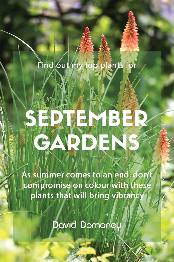 Top ten plants for September