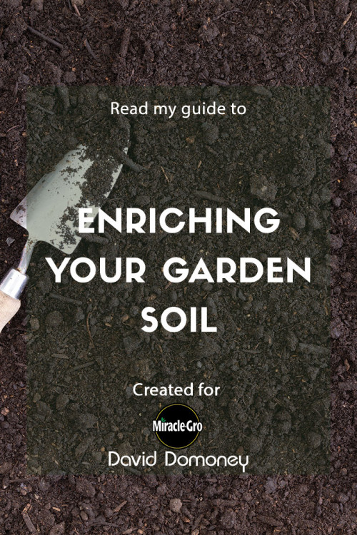 enriching your garden soil - feature image