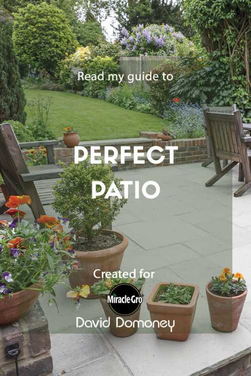 perfect patio - feature image