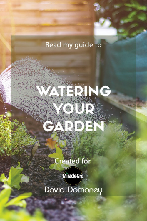 watering your garden - feature image