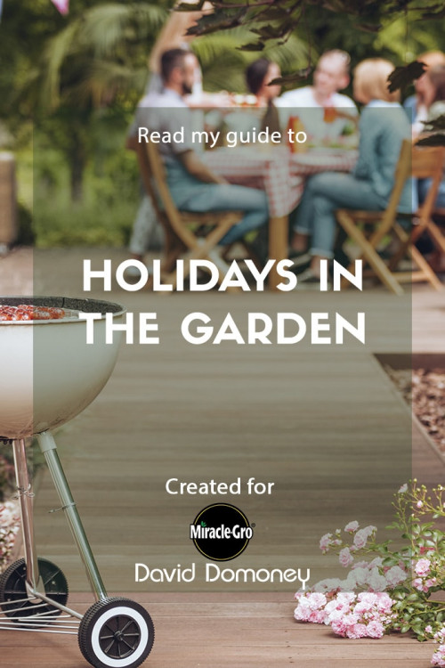 holidays in the garden - feature image