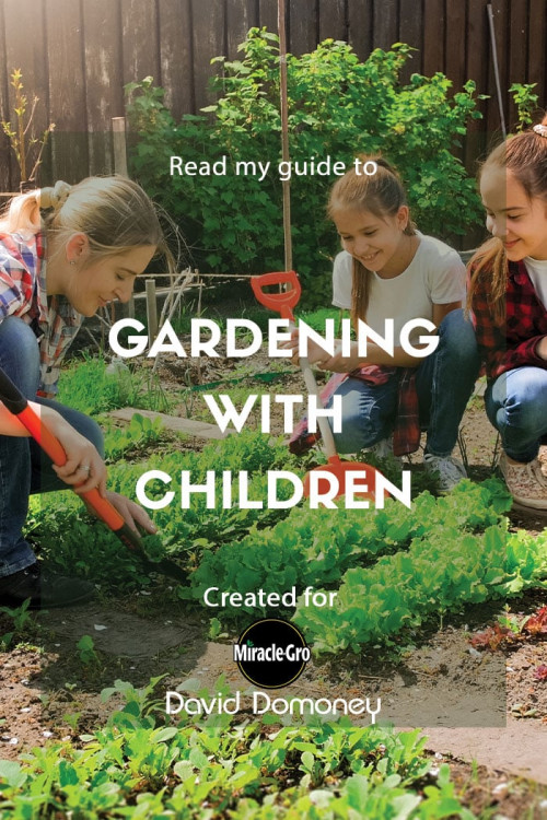 gardening with children - feature image