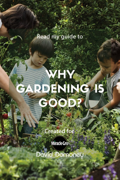 why is gardening good - feature image