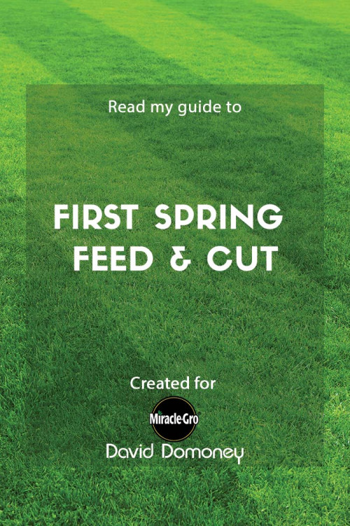 first spring feed and cut - feature image