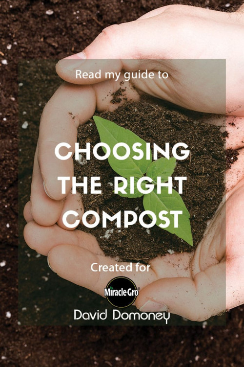 choosing the right compost - feature image