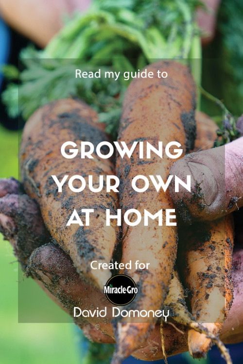 growing your own at home - feature image