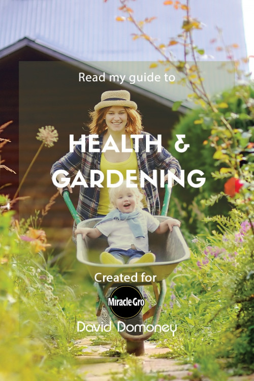 health and gardening - feature image