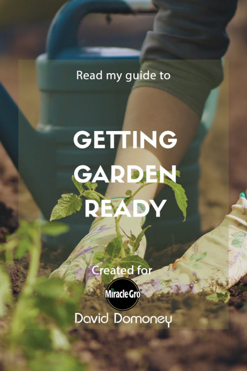 getting garden ready - feature image