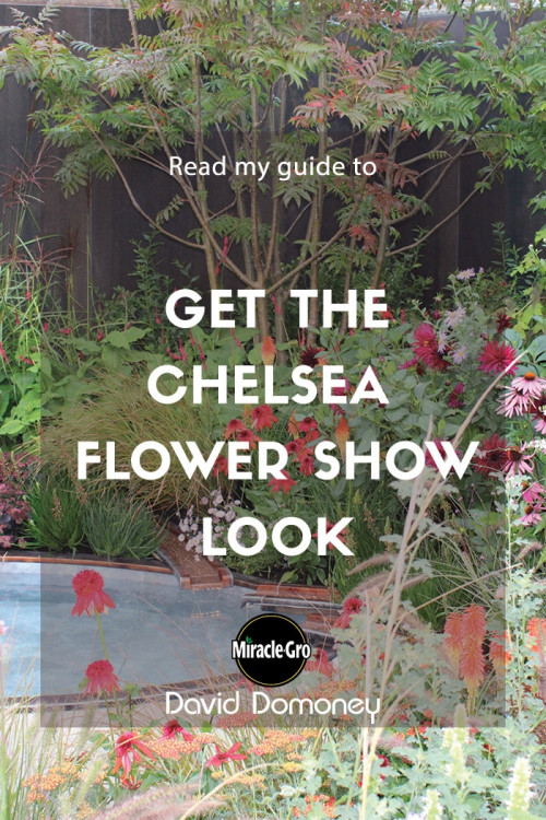 get the chelsea flower show look - feature image