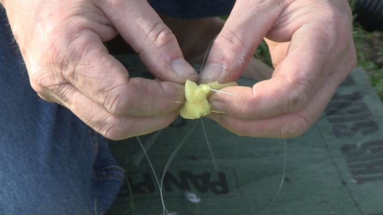 threading sponge