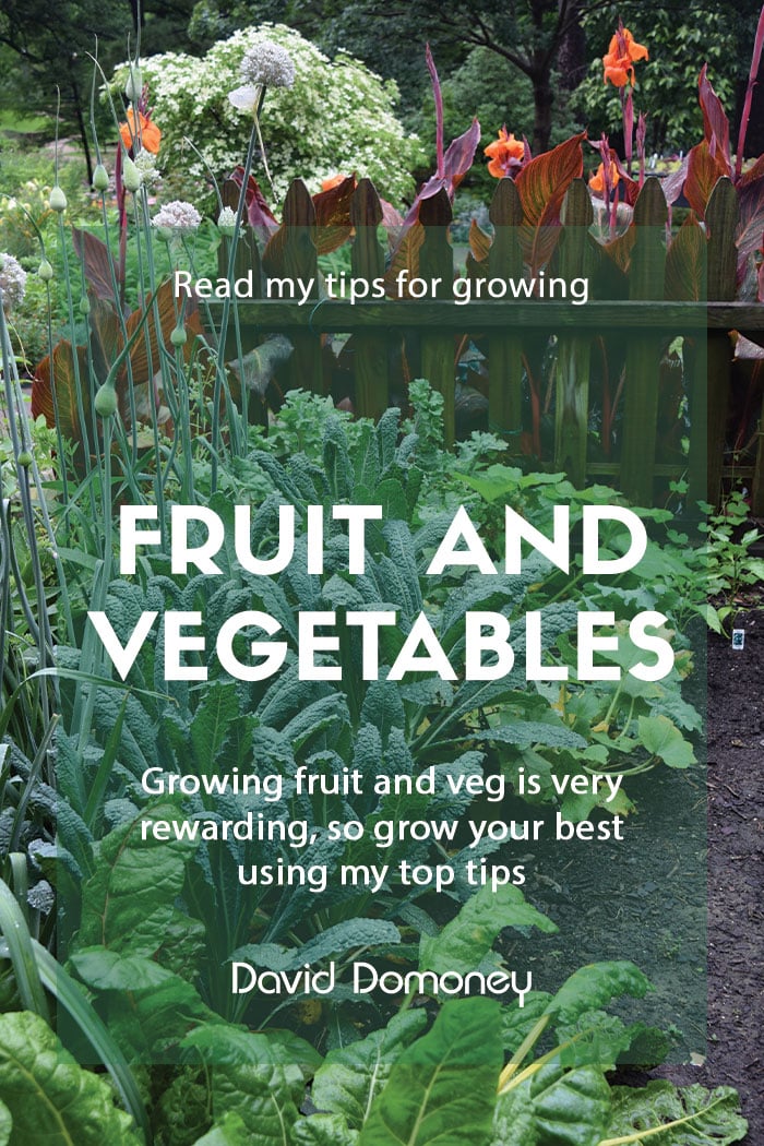 Tips for growing fruit and veg