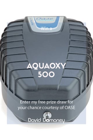 AquaOxy500