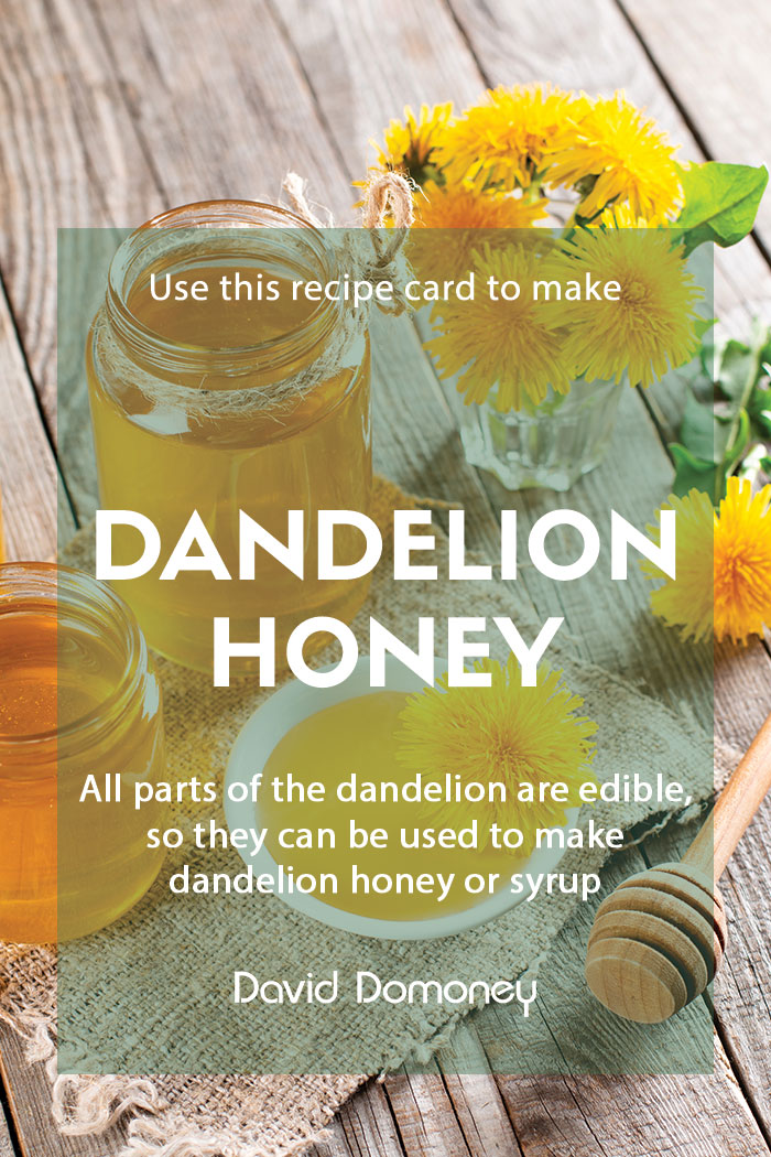 Recipe---Dandelion-honey-feature