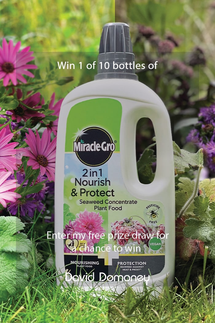 Miracle-Gro Nourish & Protect Liquid