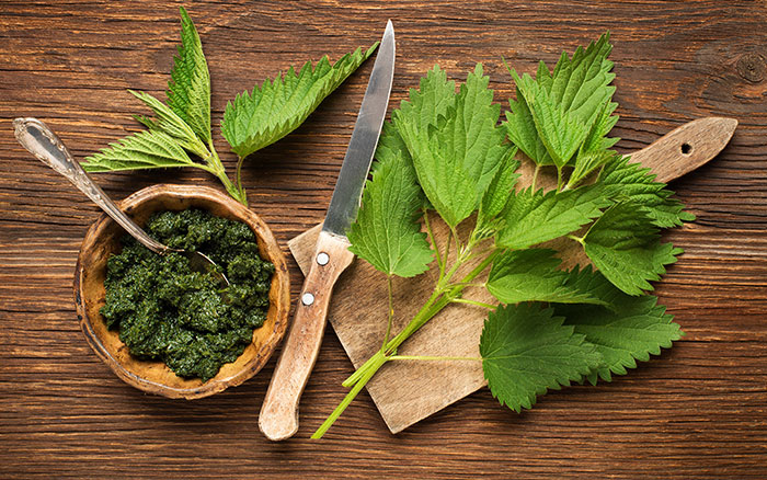 nettle pesto