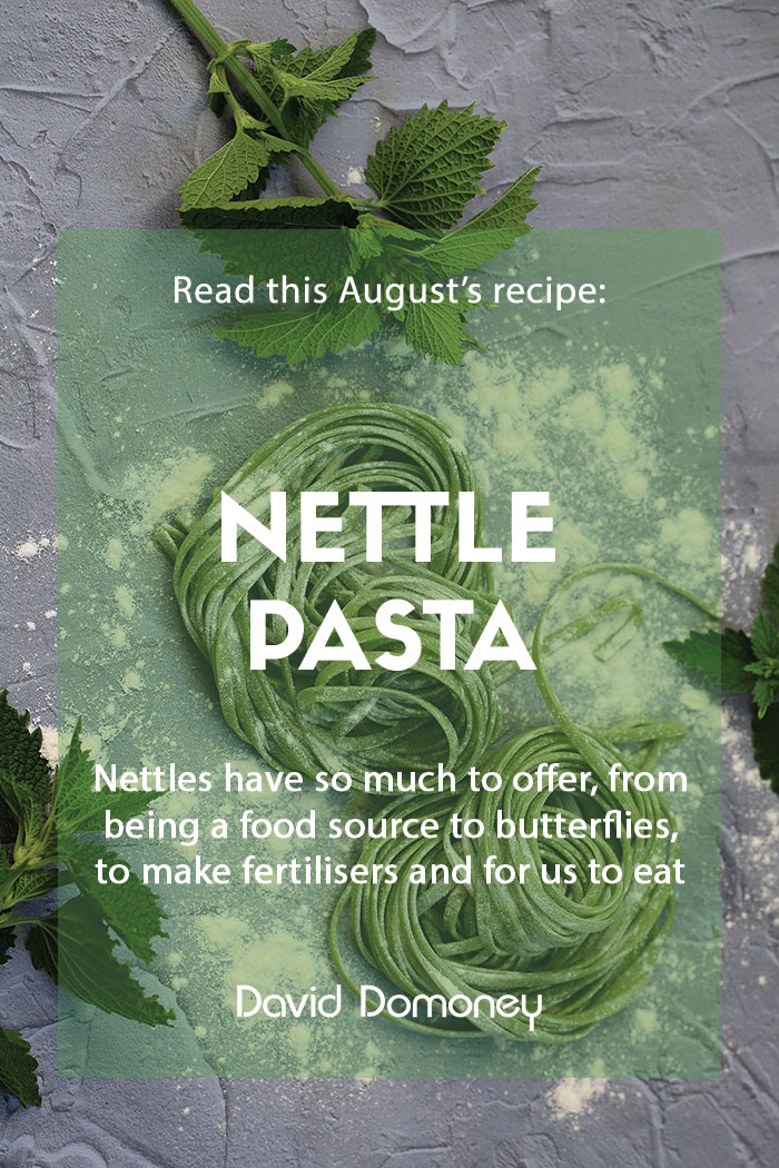 nettle pasta recipe feature