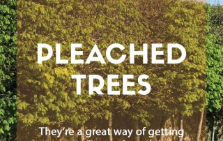 Pleased trees