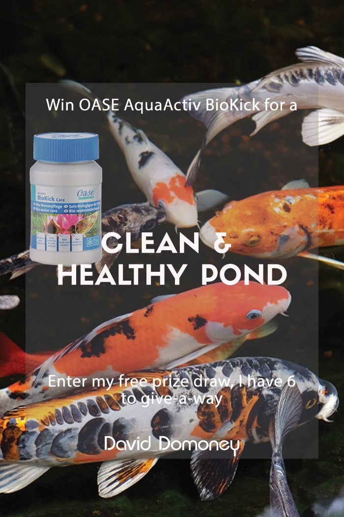 AquaActiv OASE