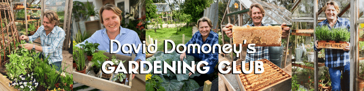 David Domoney's gardening club - feature image