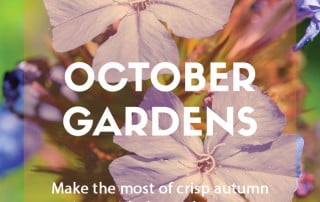 Top ten plants for October gardens