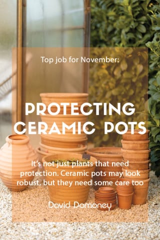 protecting ceramic pots top job for november 2022