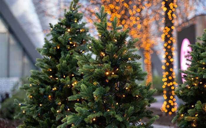 Christmas tree with LED lights