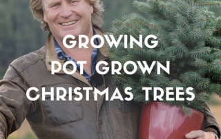 Growing pot grown Christmas trees with David Domoney and Needlefresh