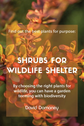 shrubs for a wildlife shelter feature