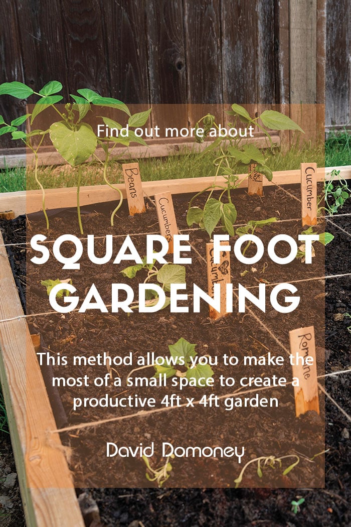 Square foot gardening feature