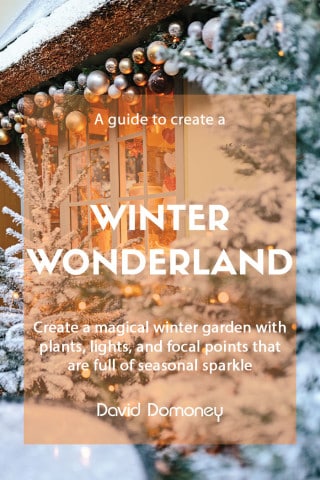 create winter wonderland garden