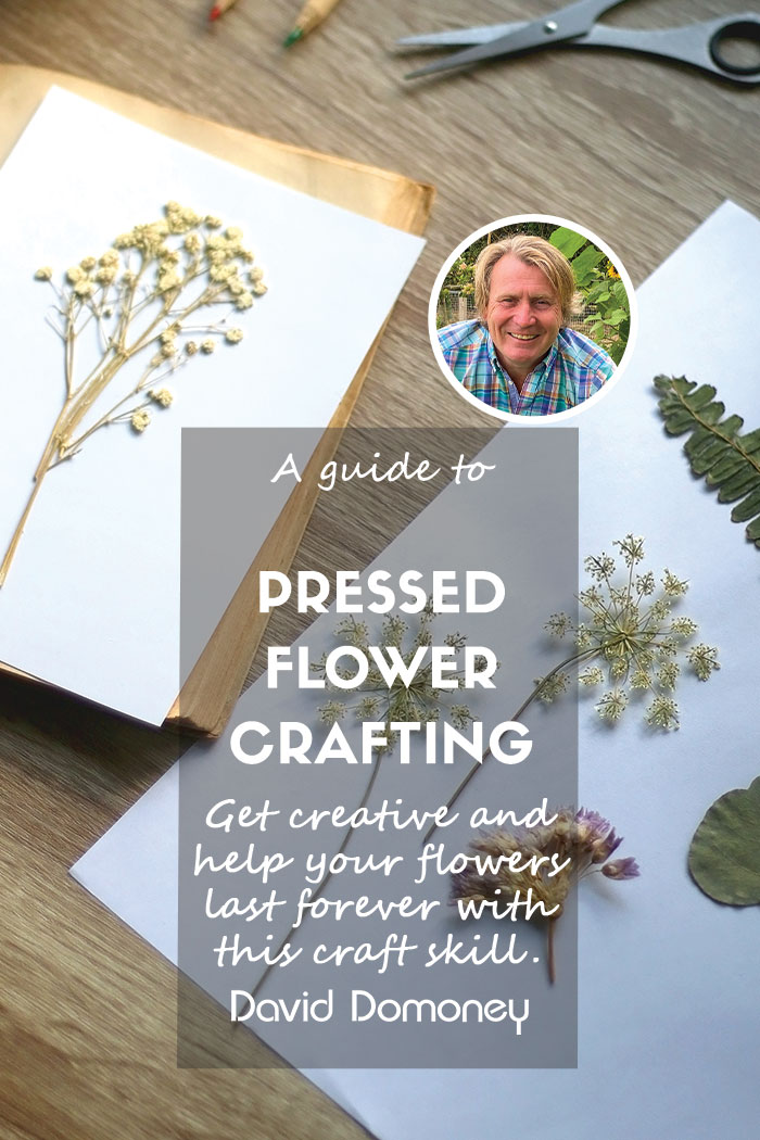 pressed flower crafting