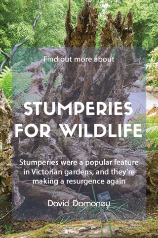 stumperies for wildlife feature