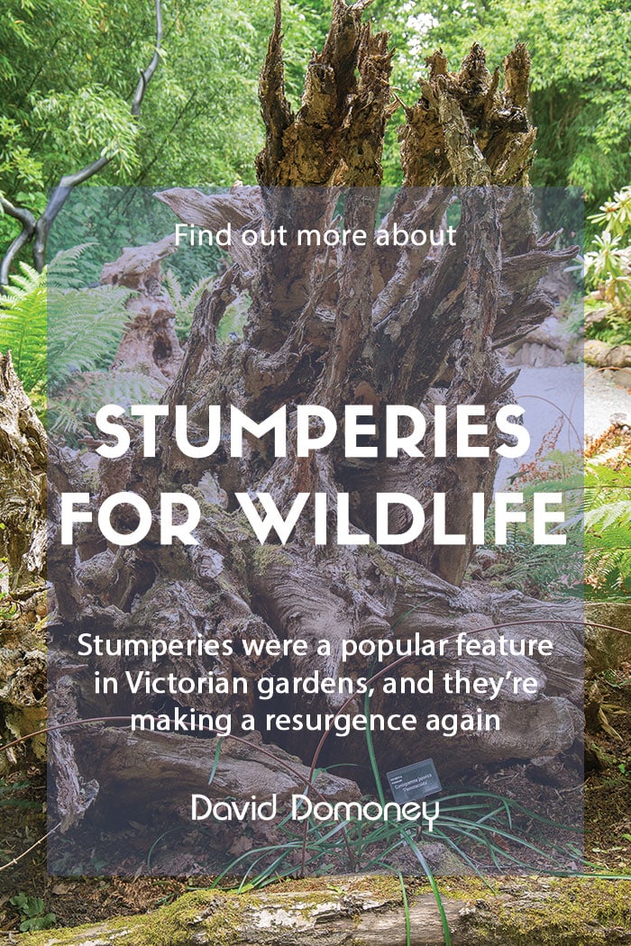 stumperies for wildlife feature